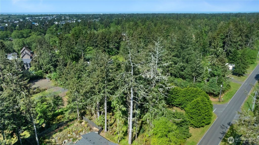 Photo of 1003 Catala Avenue SE, Ocean Shores, WA 98569 (MLS # 2521380)