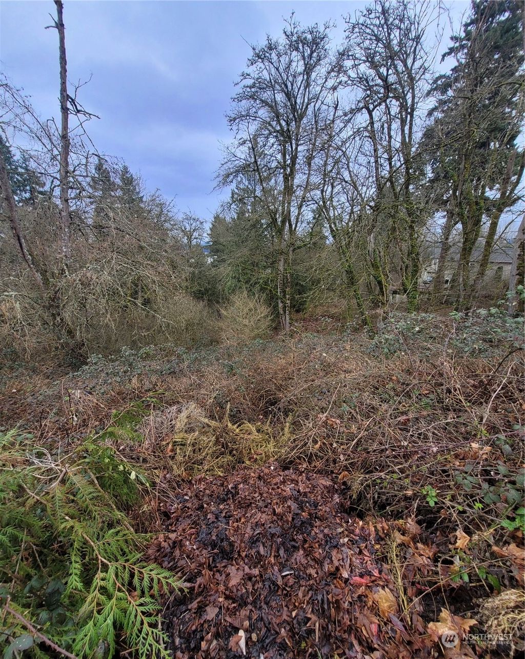 Photo of 34700 56th Avenue S, Auburn, WA 98001 (MLS # 2208364)