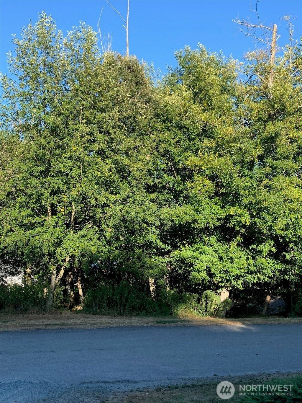 Photo of 0 xxx Brittany, Freeland, WA 98249 (MLS # 2522351)