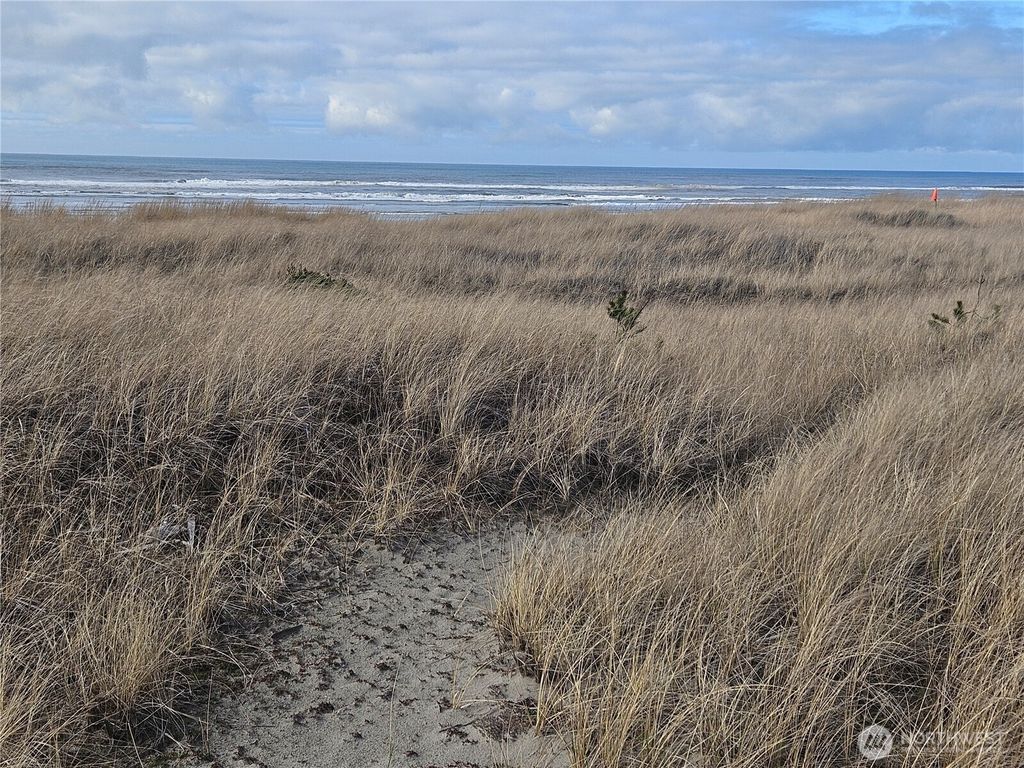 Photo of 29529 G Street, Ocean Park, WA 98640 (MLS # 2480570)