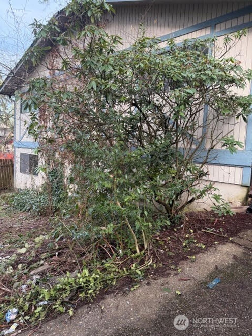 Photo of 635 Holly Court, Shelton, WA 98584 (MLS # 2509881)