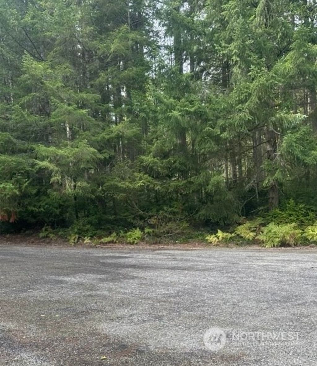 12408 93rd Street, Anderson Island Land for Sale in Anderson Island