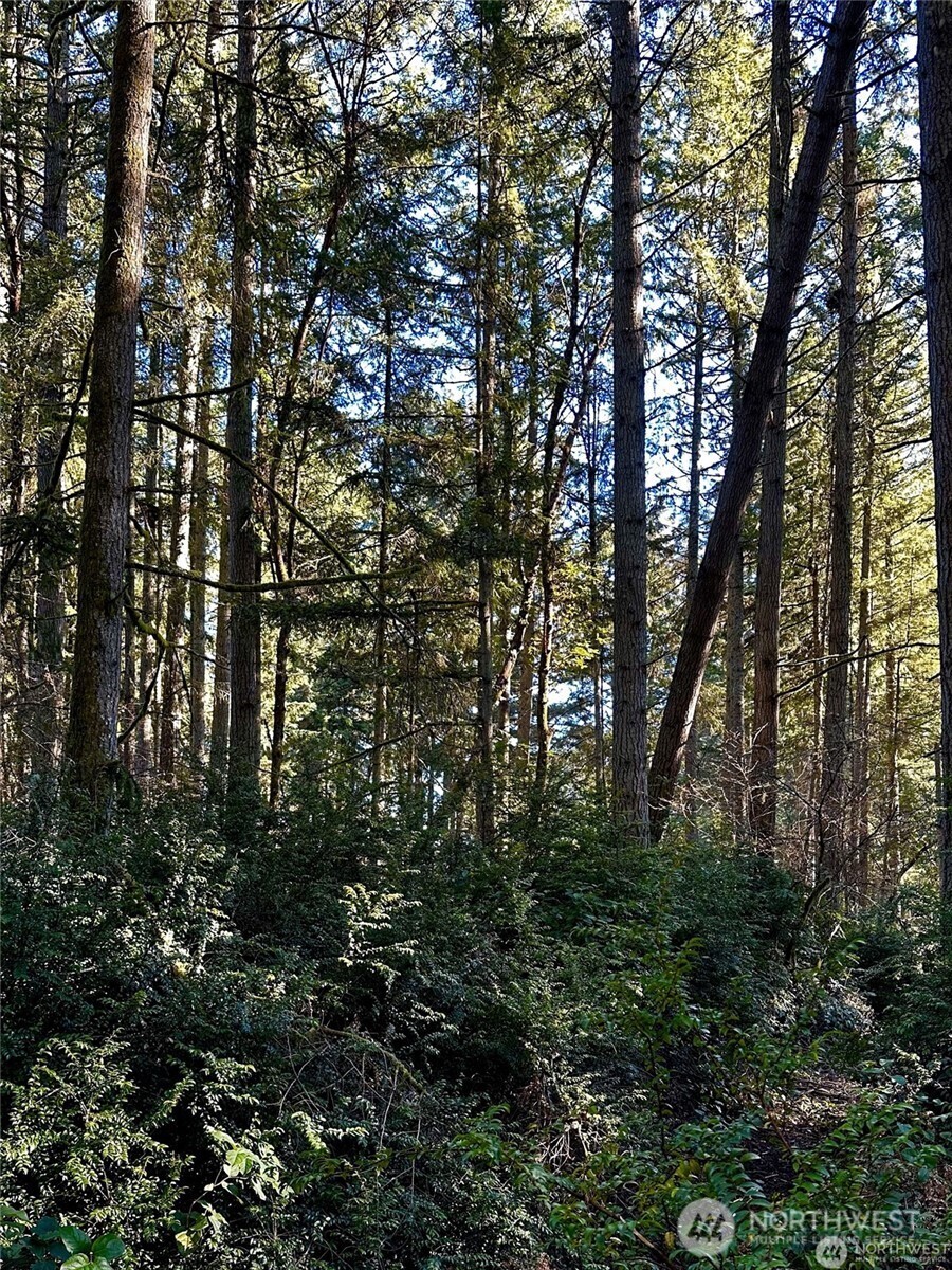 11321 LAKE JOSEPHINE Boulevard