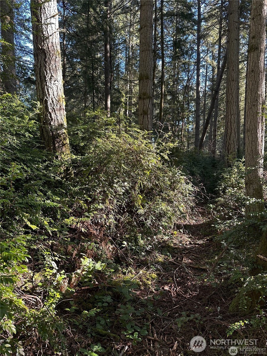 11321 LAKE JOSEPHINE Boulevard