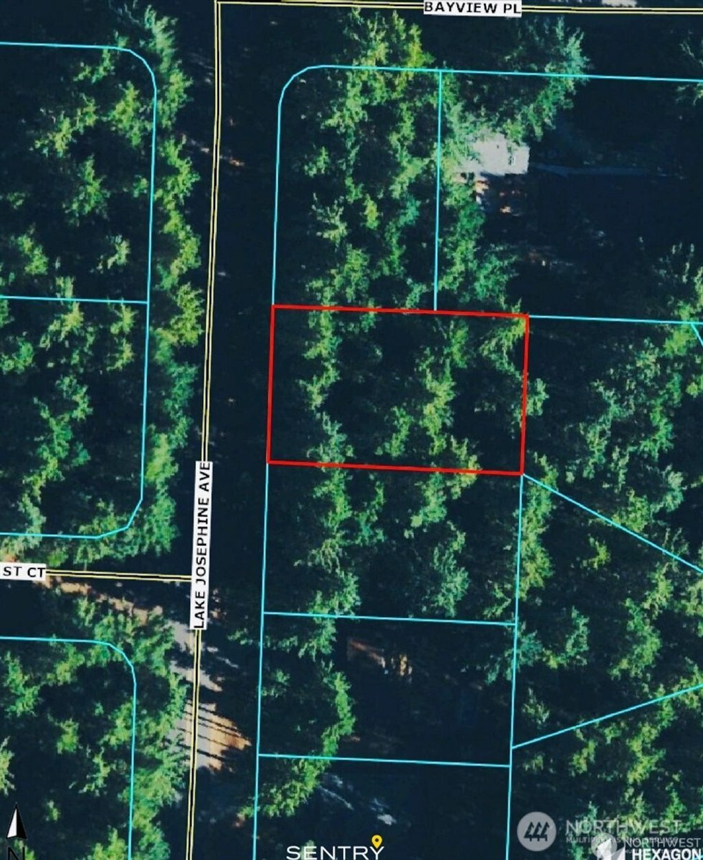 Photo of 11321 LAKE JOSEPHINE Boulevard, Anderson Island, WA 98303 (MLS # 2444512)