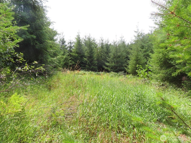 0 Mill Creek Lane