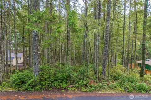 651 E Vine Maple Lane Union WA 98592
