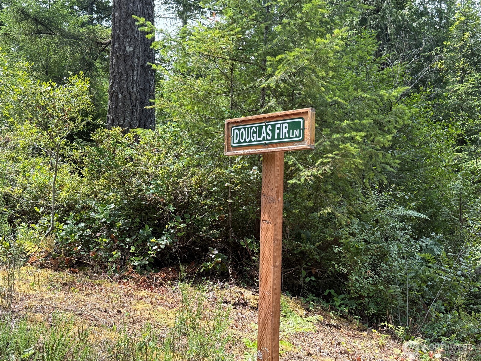 140 E Douglas Fir Lane