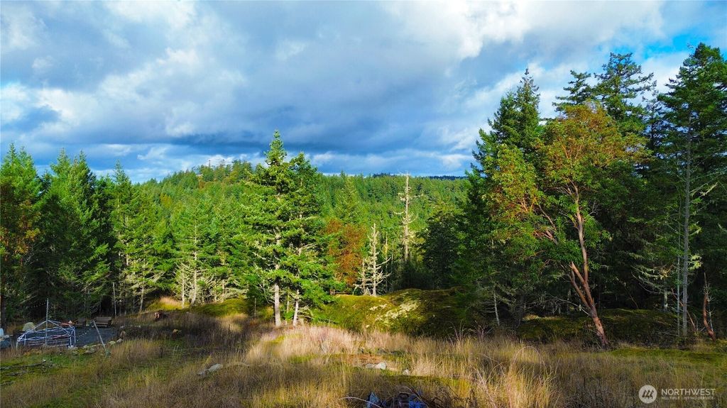 Photo of 705 Mt Dallas Road Rd, Friday Harbor, WA 98250 (MLS # 2467469)