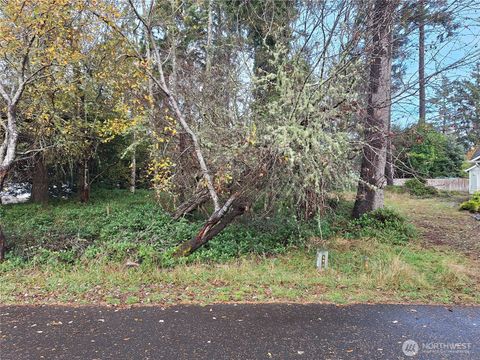 510 Chickamin Court SE Ocean Shores WA 98569