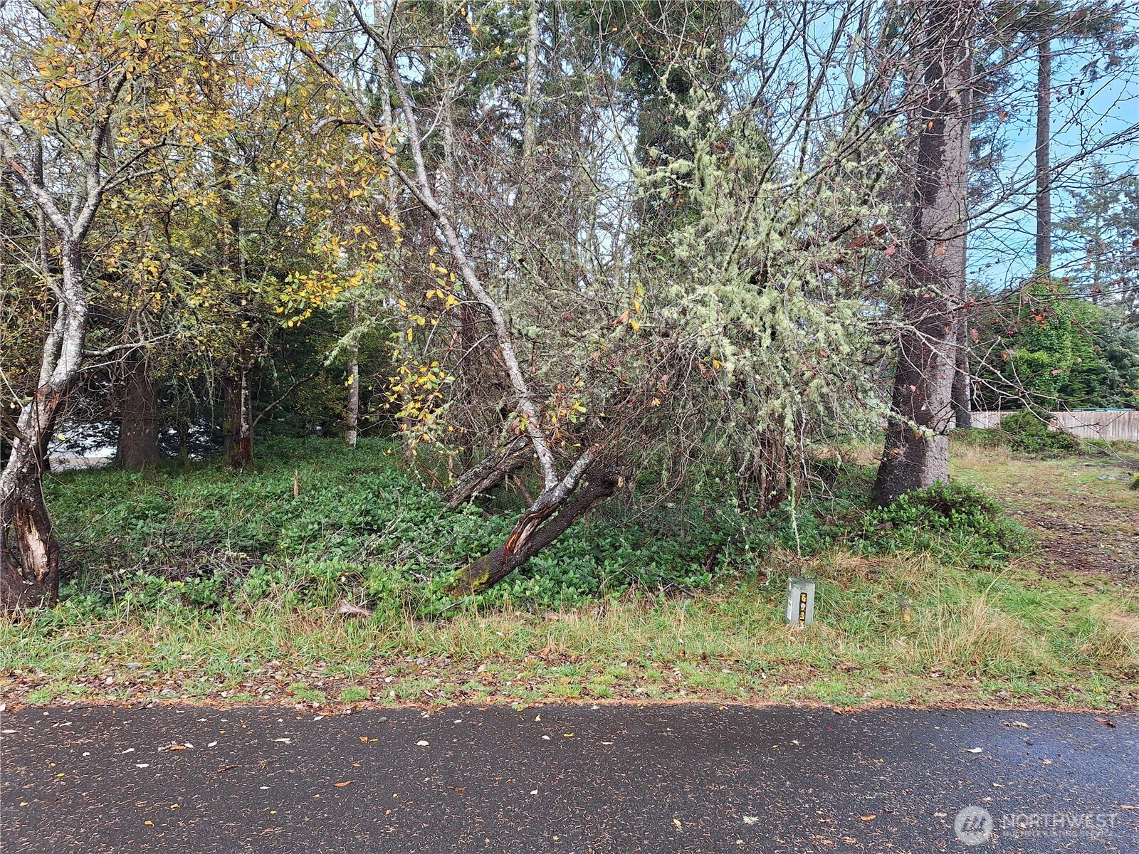 510 Chickamin Court SE