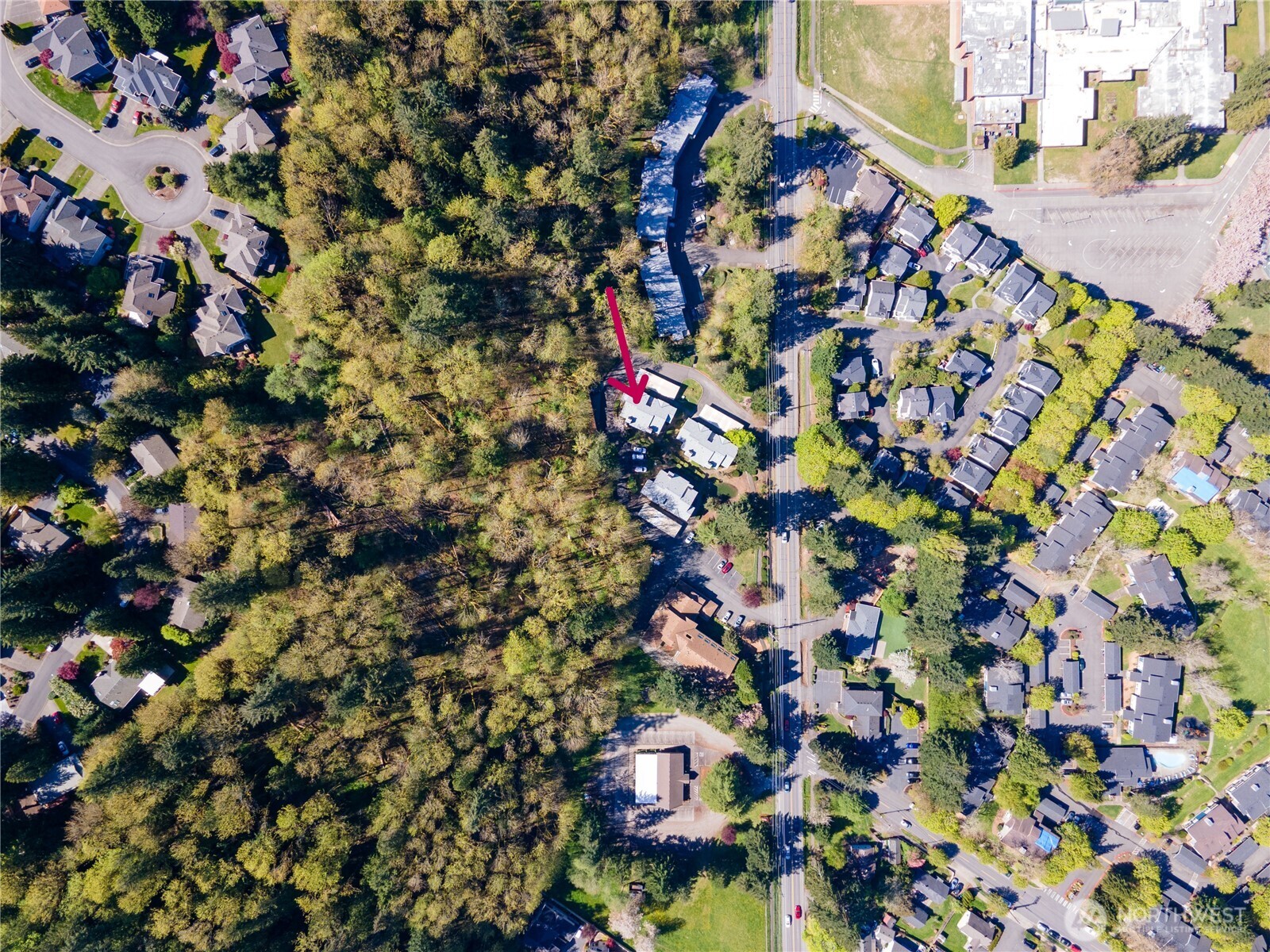 455 Newport Way NW 206
