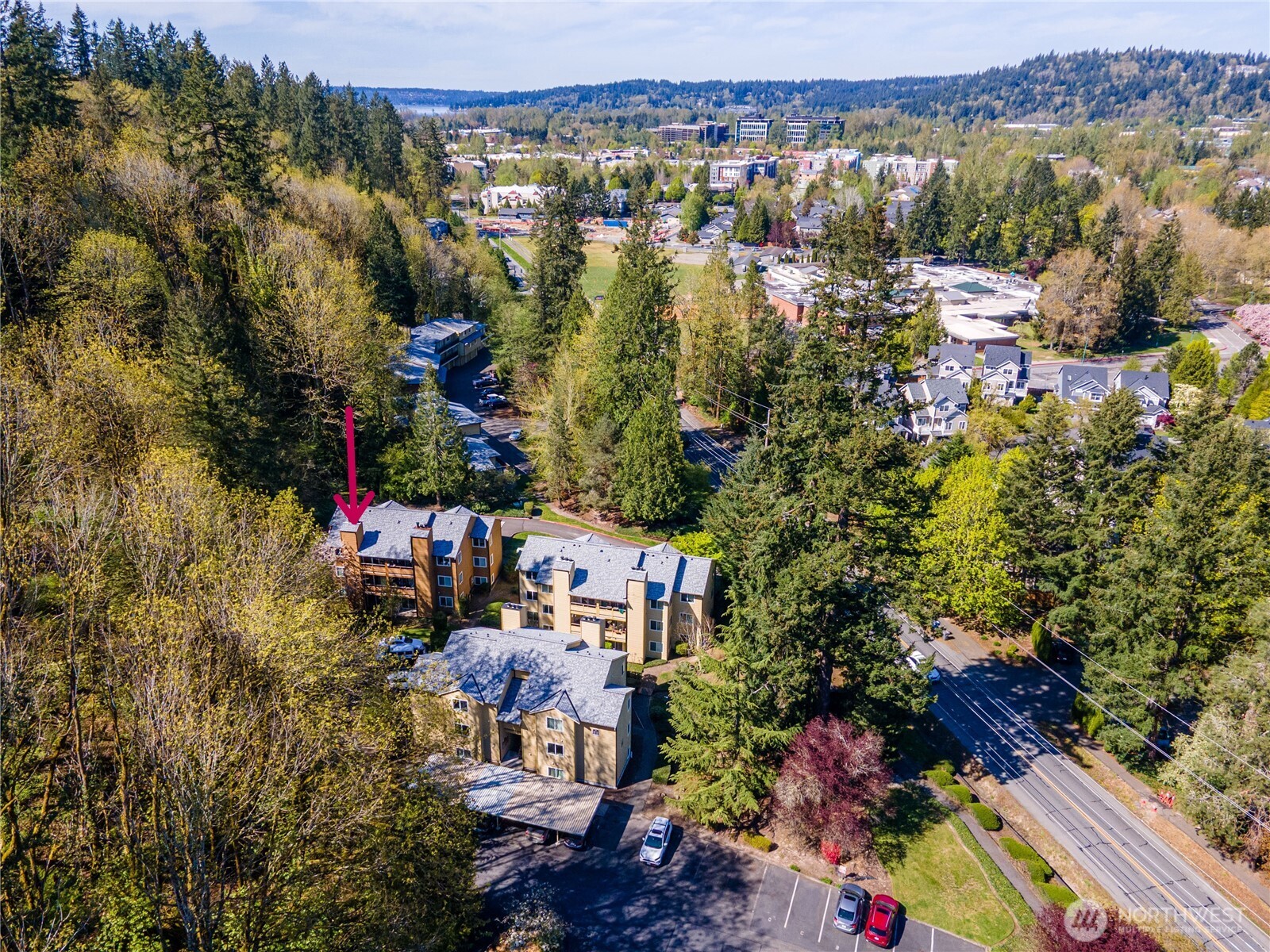455 Newport Way NW 206