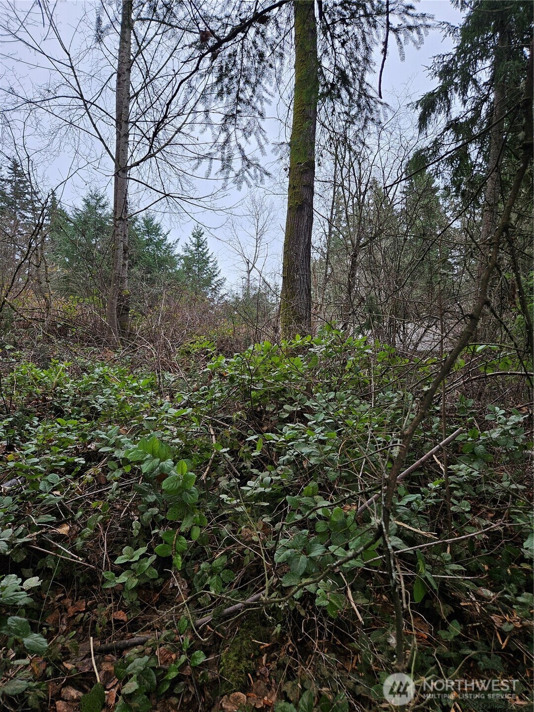 19101 106th Street Ct E