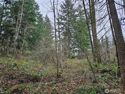 19101 106th Street Ct E Bonney Lake WA 98391