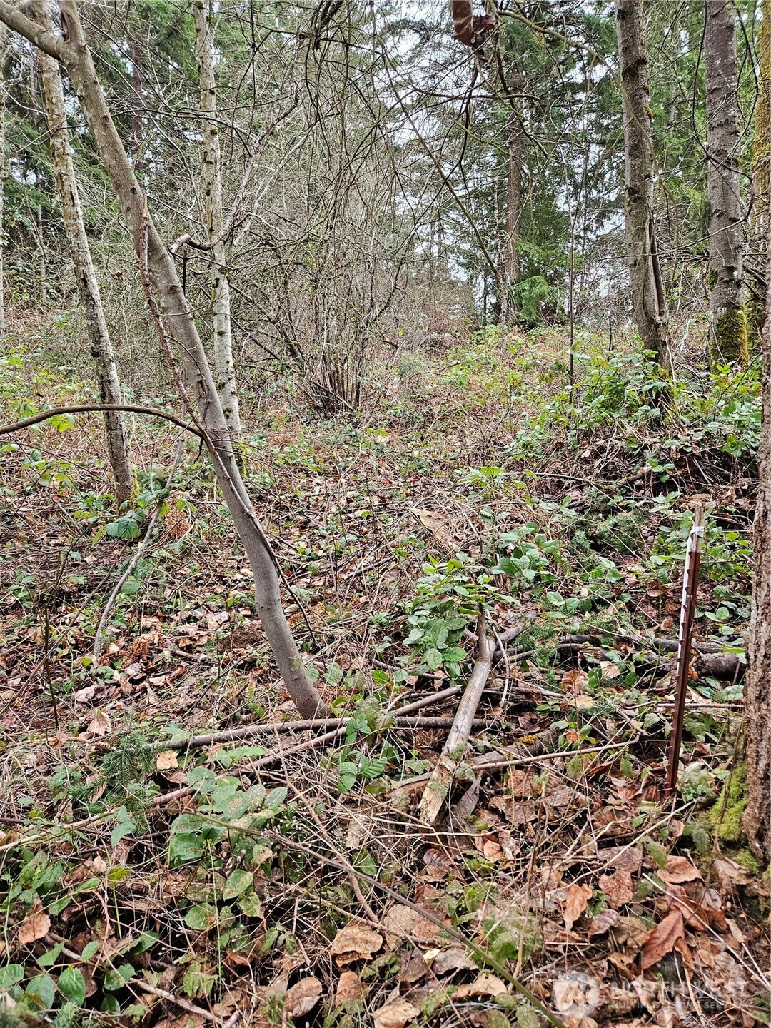 19101 106th Street Ct E