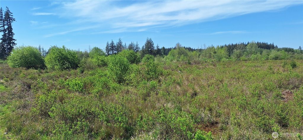 Photo of 123 Meier Road, Winlock, WA 98596 (MLS # 2521424)