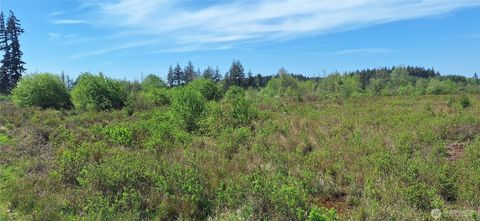 Photo of 123 Meier Road, Winlock, WA 98596 (MLS # 2521424)