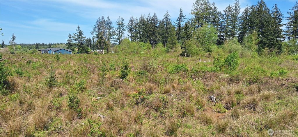 Photo of 123 Meier Road, Winlock, WA 98596 (MLS # 2521424)