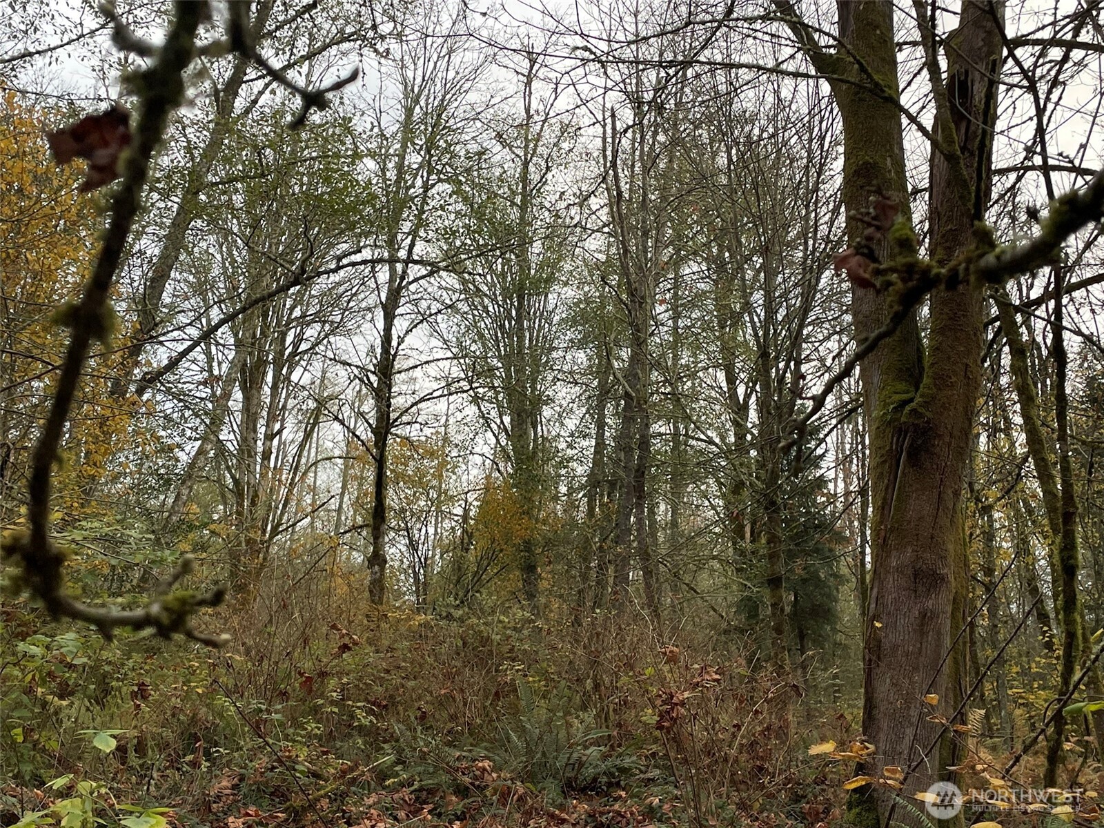 10312 SW 156th Street