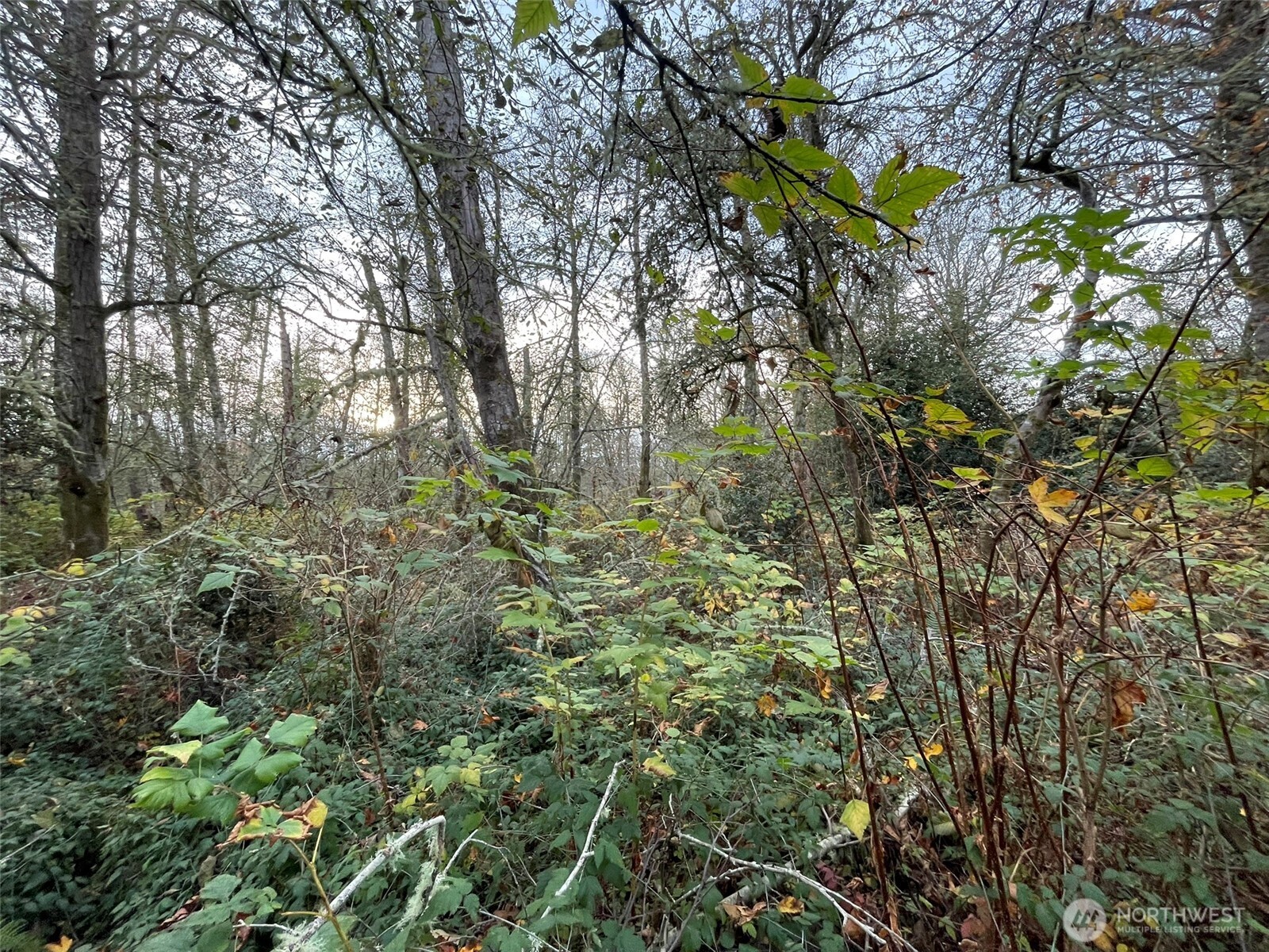 10312 SW 156th Street