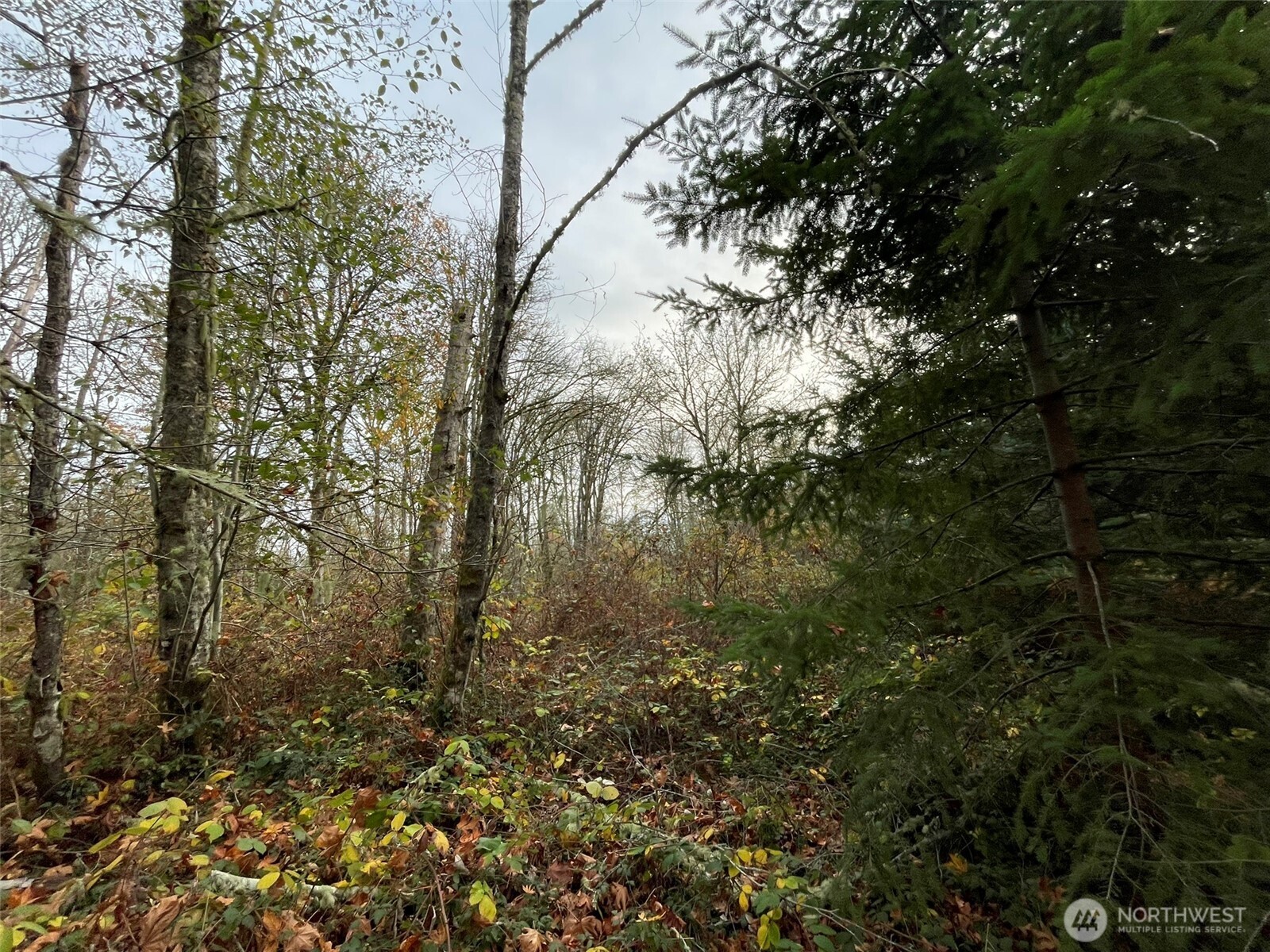 10312 SW 156th Street