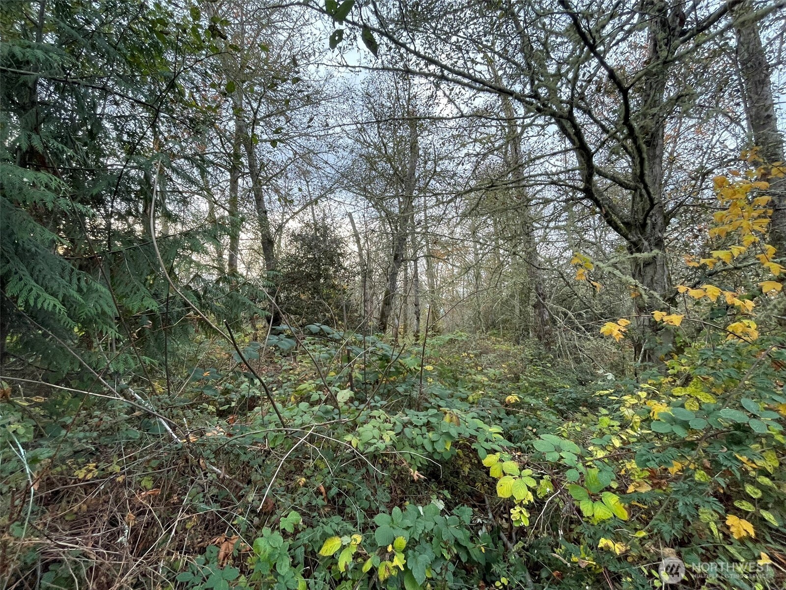 10312 SW 156th Street