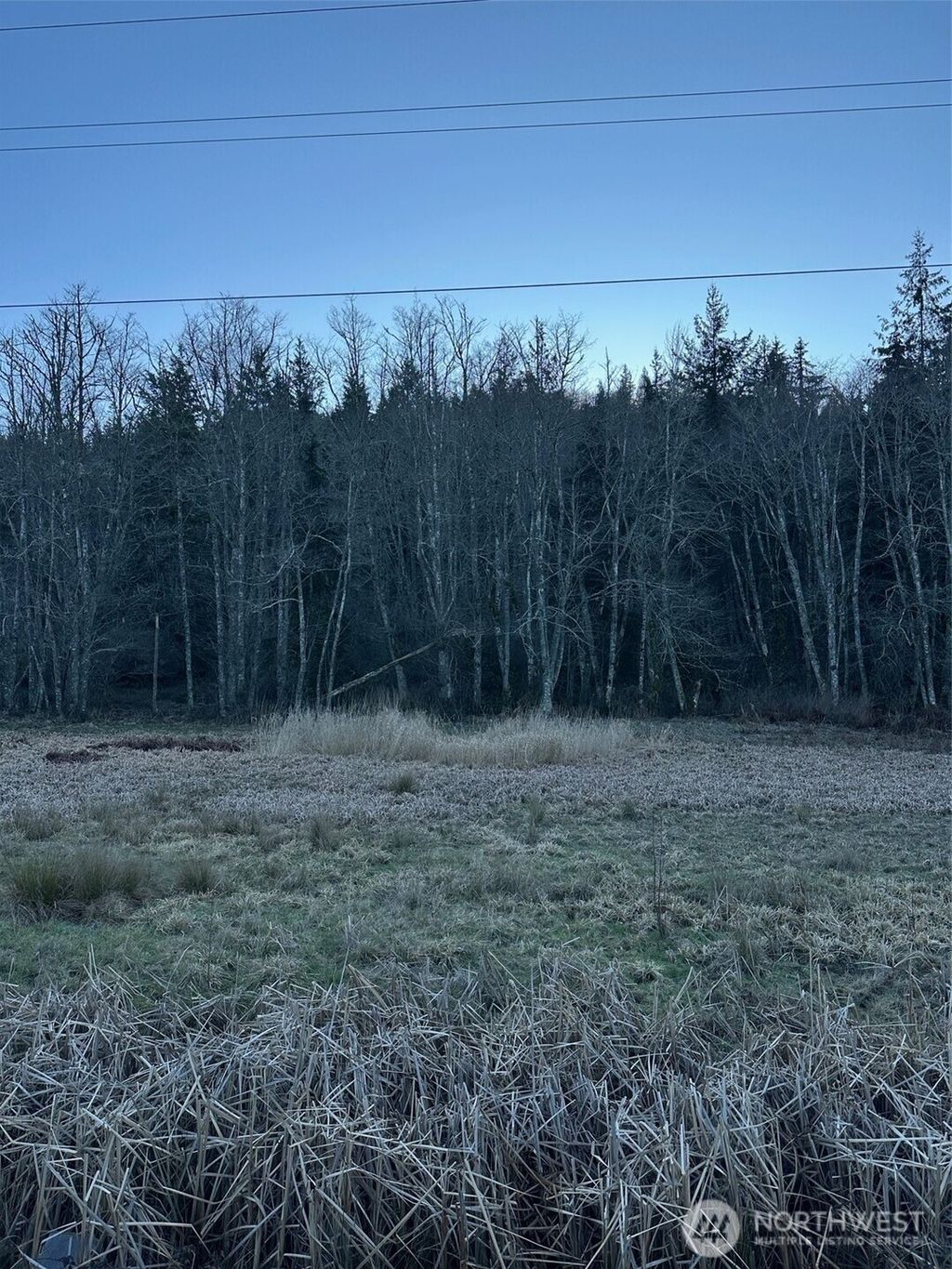 Photo of 51720 Mountain Highway Hwy E, Eatonville, WA 98328 (MLS # 2471801)