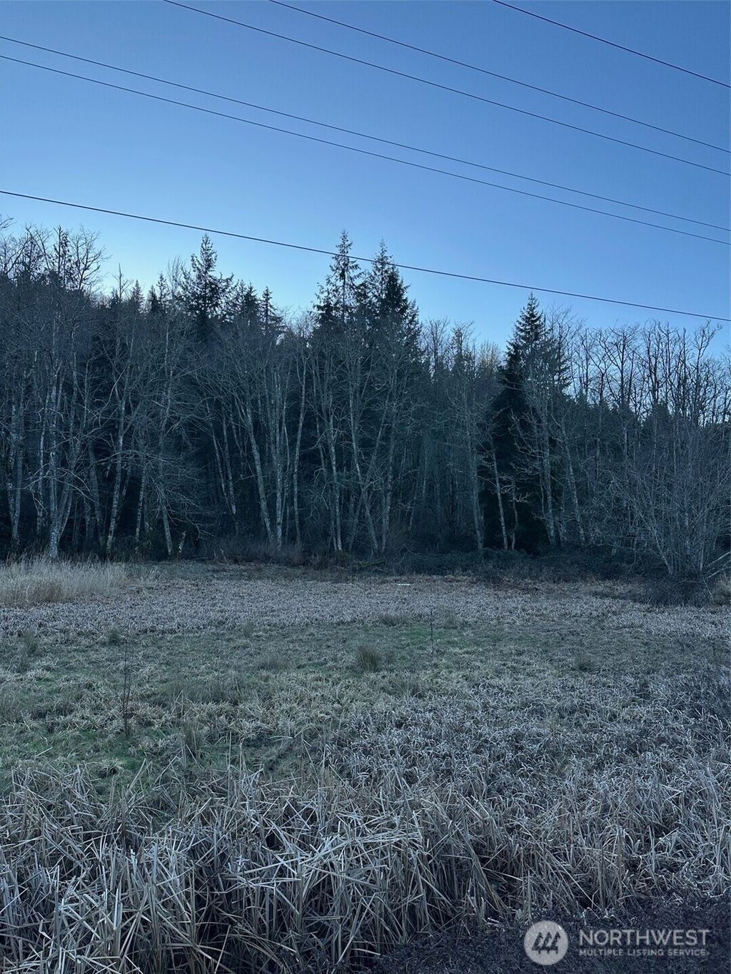 Photo of 51720 Mountain Highway Hwy E, Eatonville, WA 98328 (MLS # 2471801)