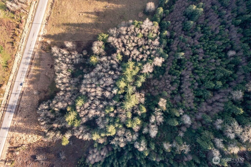 51720 Mountain Highway E