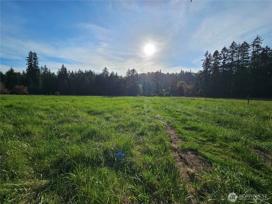 39 MIDDLE EARTH LN, ELMA, WA 98541 - Image a38f339728f3a15faaf547491a4e928f/3288165845