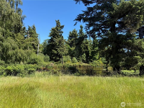 Photo of 21850 V Lane, Ocean Park, WA 98640 (MLS # 2542567)