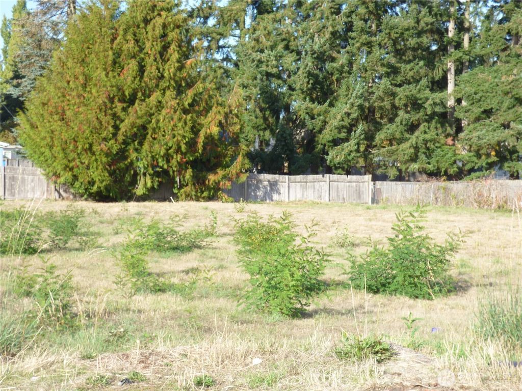 Photo of 230 170th Street E, Spanaway, WA 98387 (MLS # 2443079)