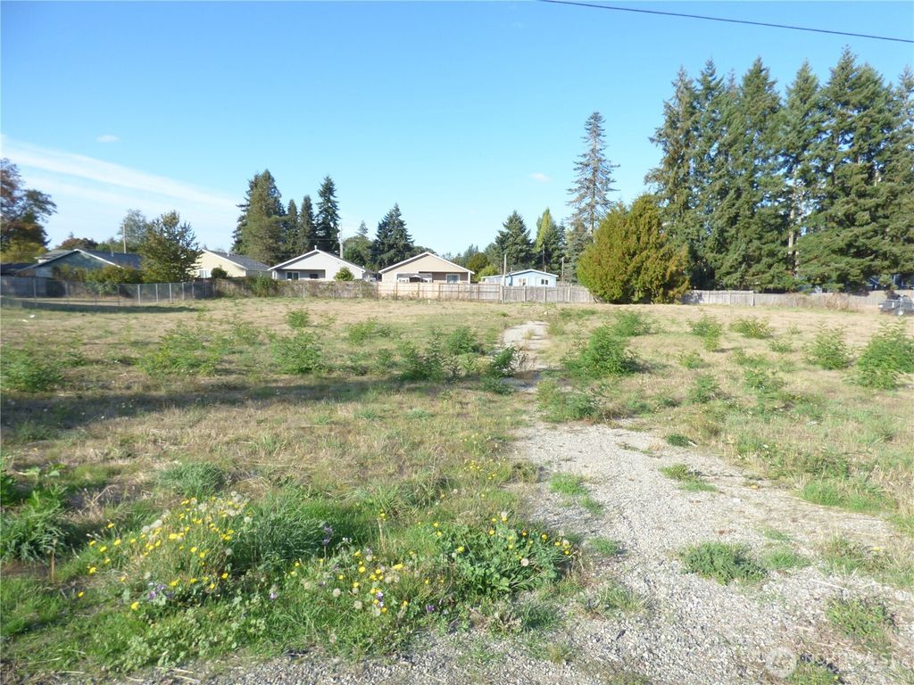 Photo of 230 170th Street E, Spanaway, WA 98387 (MLS # 2443079)