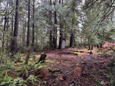 16616 74th Street NW Vaughn WA 98394