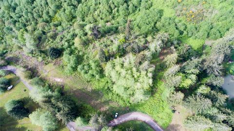 Photo of 1111 Washington Cemetery Road, Raymond, WA 98577 (MLS # 2326826)