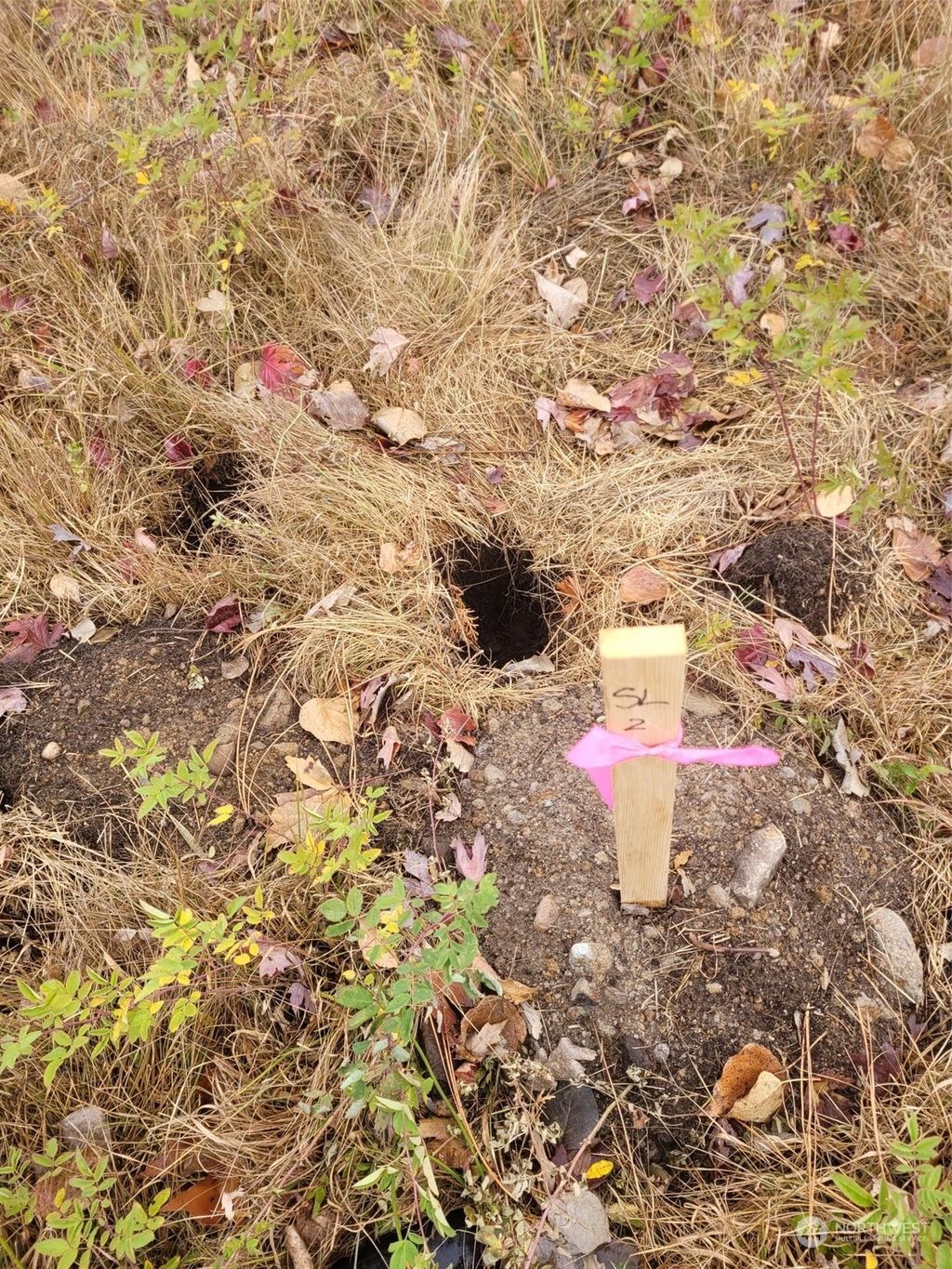 Photo of 7105 254th Avenue NE, Redmond, WA 98053 (MLS # 2059964)