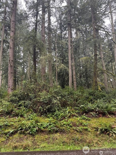 Photo of 12708 Lovass Road, Anderson Island, WA 98303 (MLS # 2490128)