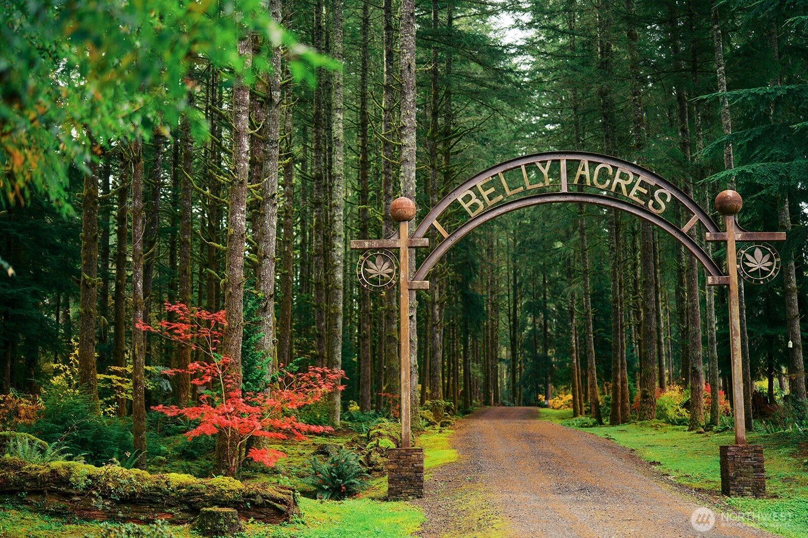 12907 Moss Creek Lane NE