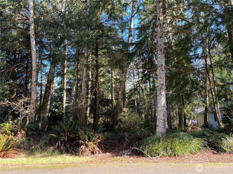 336 Hyde Court NE Ocean Shores WA 98569