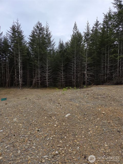 490 E Pinedirosa Road A Union WA 98592