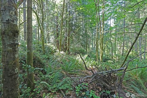 Photo of 20825 Old Mill Road SW, Vashon, WA 98070 (MLS # 2479915)