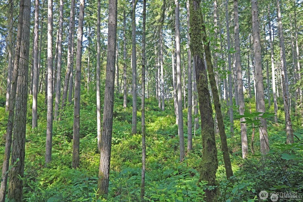 Photo of 20825 Old Mill Road SW, Vashon, WA 98070 (MLS # 2479915)