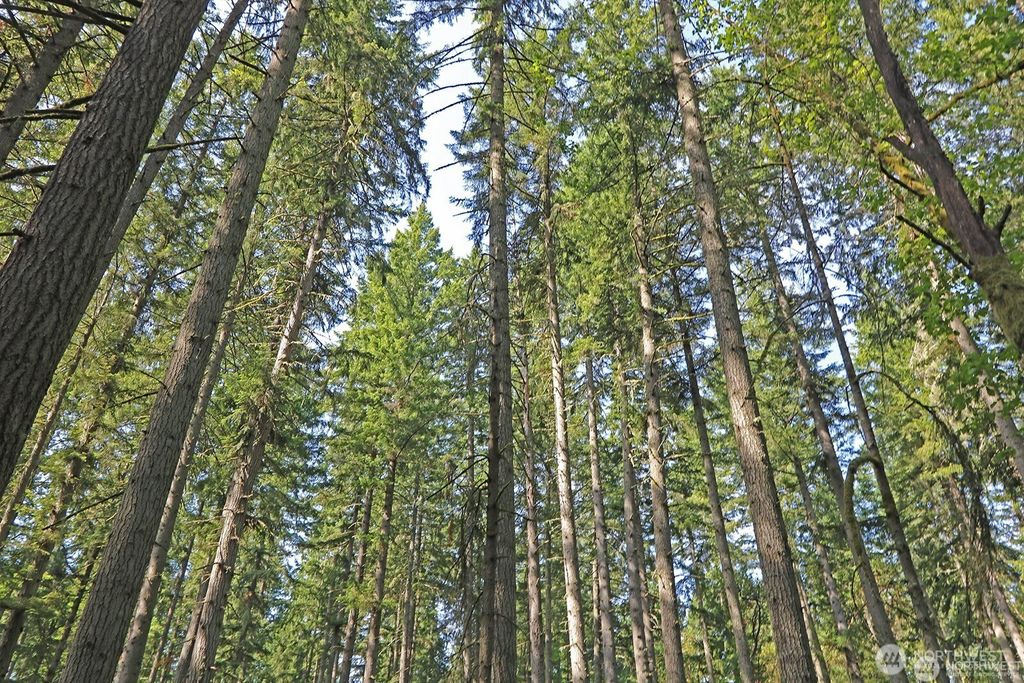 Photo of 20825 Old Mill Road SW, Vashon, WA 98070 (MLS # 2479915)