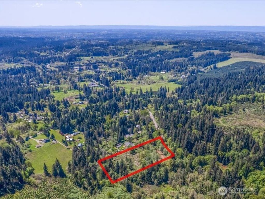 Photo of 1 Lewisville 503 Highway, Yacolt, WA 98601 (MLS # 2513336)