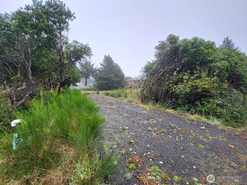 Photo of 122 Sand Dune Avenue SW, Ocean Shores, WA 98569 (MLS # 2460898)