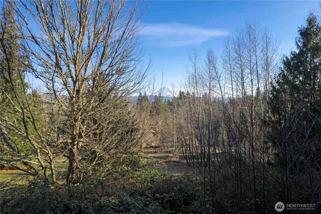 Photo of 16018 229th Street E, Graham, WA 98338 (MLS # 2464143)