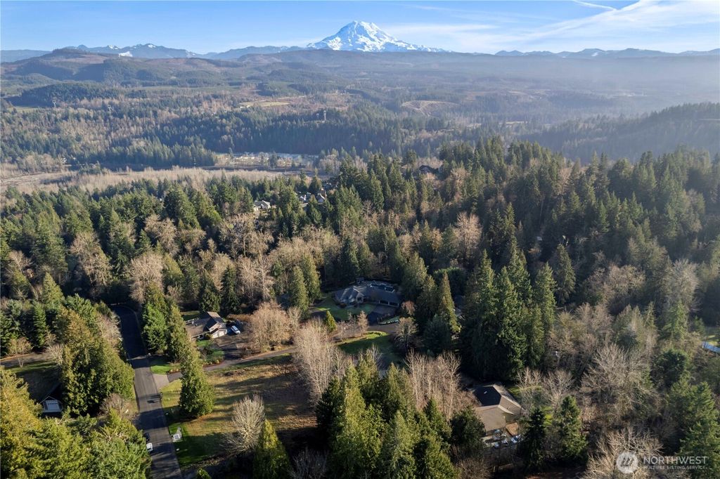 Photo of 16018 229th Street E, Graham, WA 98338 (MLS # 2464143)