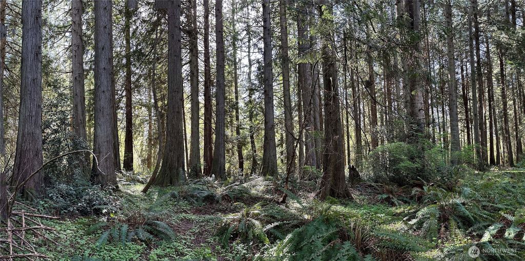 Photo of 0 Lot 31 NW Lakeness, Poulsbo, WA 98370 (MLS # 2521026)