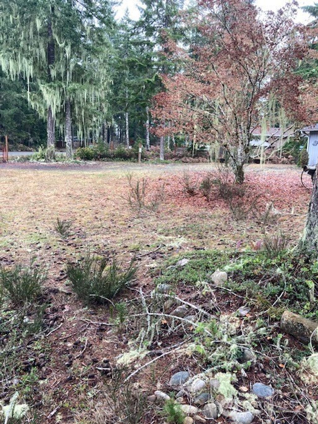 Photo of 220 N Duckabush Drive N, Hoodsport, WA 98548 (MLS # 2458633)